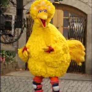 Meet your Posher, Hailey